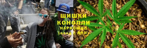 бошки Вяземский