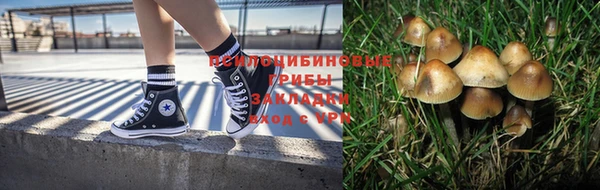 прущие крисы Гусев